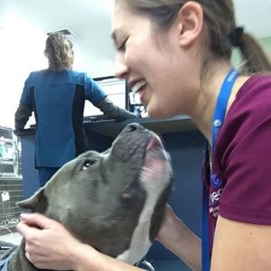 Meet your Posher, Liz